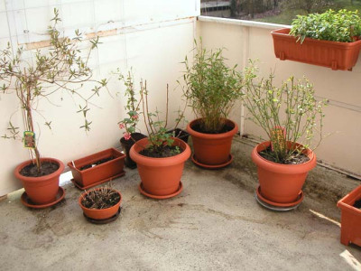 Terrasse_01.jpg