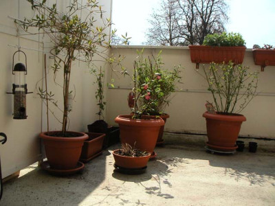 Terrasse_02.jpg