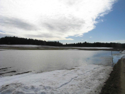 feldsee.jpg