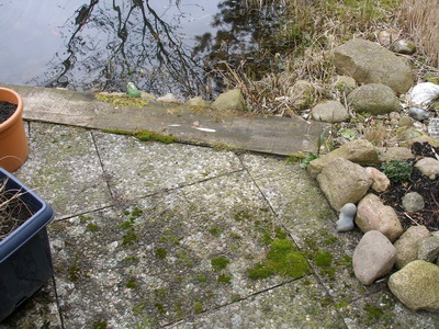 P4200001.JPG