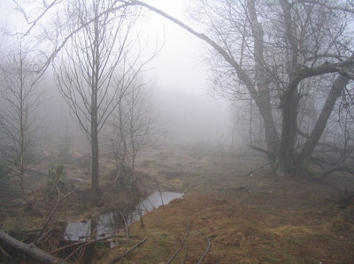 Rotes_Moor.jpg
