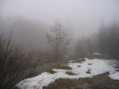 Rotes_Moor_4.jpg