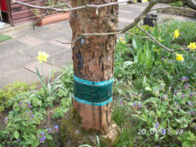 PICT0018.JPG