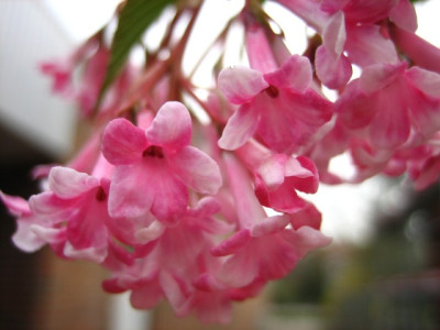 v2-IMG_0272.jpg