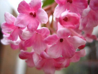 v4-IMG_0279.jpg