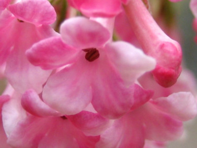 v6-IMG_0285.jpg