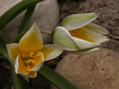 tarda-04-06.jpg