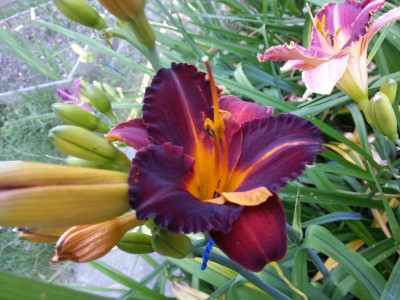 20150707_075042.jpg