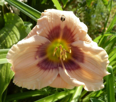 Ursula Heuss_P1080147.jpg