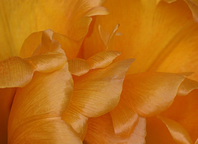 Oster-Farbrausch-1.jpg