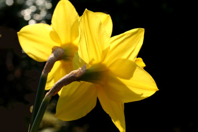 Licht-und-Schatten-4.jpg