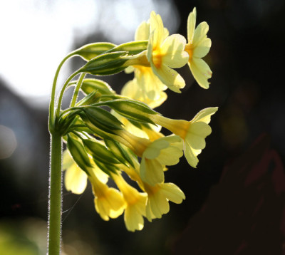Licht-und-Schatten-5.jpg