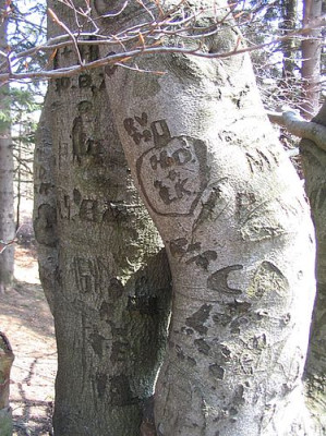 Liebesschwure.jpg