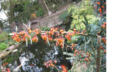 IMG_0024_Small_2_Small.JPG