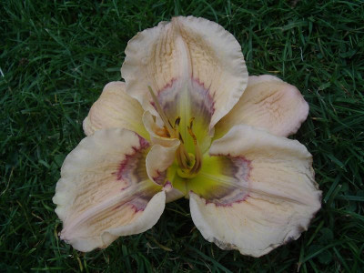 IMGP1023.JPG