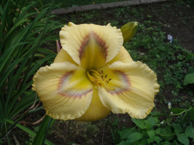 IMGP0939.JPG
