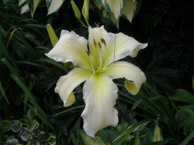 IMGP0839.JPG
