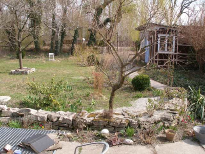 pfirsich_2006-04-09.JPG