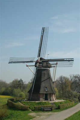 2006H105_Medium.JPG