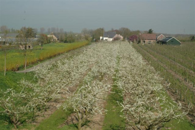 2006H071_Small.JPG