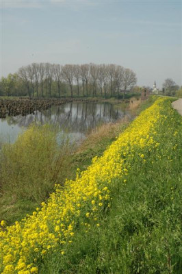 2006H102_Medium.JPG