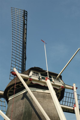 2006H110_Medium.JPG