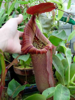 DSCN0167.jpg