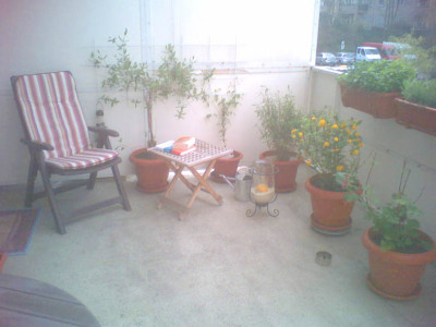 terrasse_sauber_handy.jpg