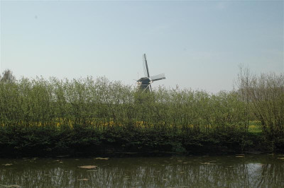 2006H091_Medium.JPG