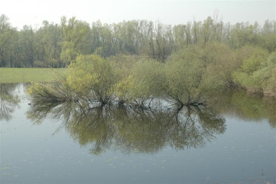 2006H082_Medium.JPG