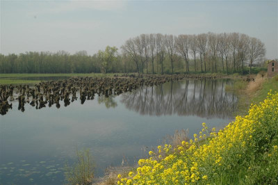 2006H103_Medium.JPG