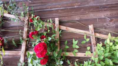 20150709_151110.jpg
