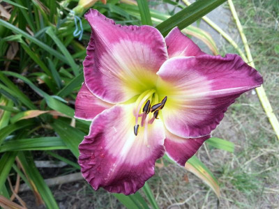 20150709_084314.jpg