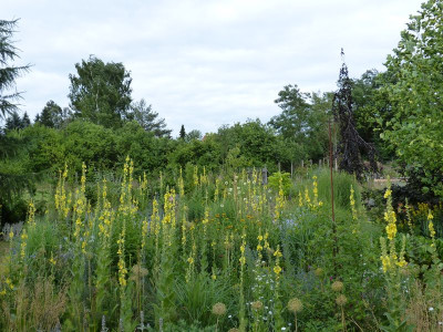 2015-07-08 Garteneinblick 1.jpg