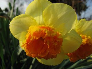 IMG_0405.JPG