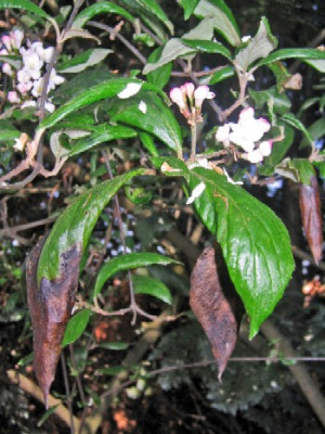 IMG_1808_edited.jpg