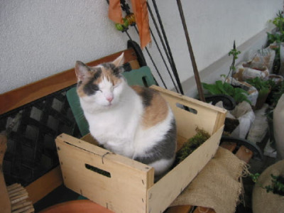Sheila_neuer_Schlafplatz.jpg