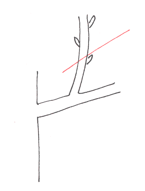 Absetzen.gif