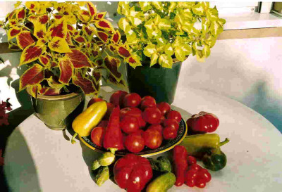 Tomatenstilleben.jpg