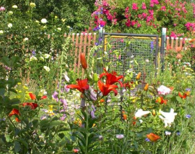 garten_juni_2002_04.jpg