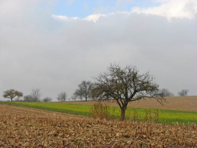 BAUME_II_DO_151107.jpg