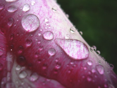fruhling_06_002.jpg