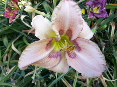 20150710_101230.jpg