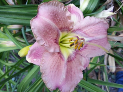 20150710_101840.jpg