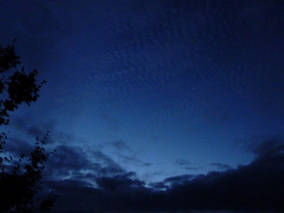 8.7. morgenblauen.jpg