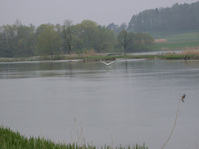 DSCN25333_94.jpg