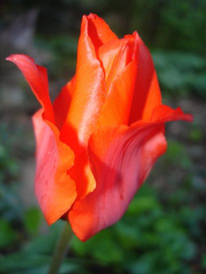 DSC01928a.jpg