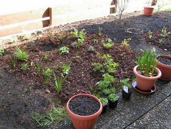 PICT0012a.jpg