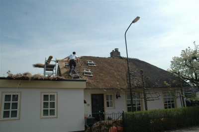 2006H156_Medium.JPG