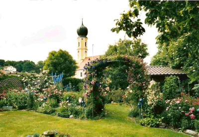 Rosenbogen_m.Kirche.jpg
